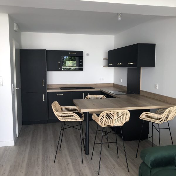 renovation-d-un-appartement-4